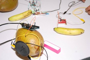bananas_and_coconuts_arduinoD15_BLR